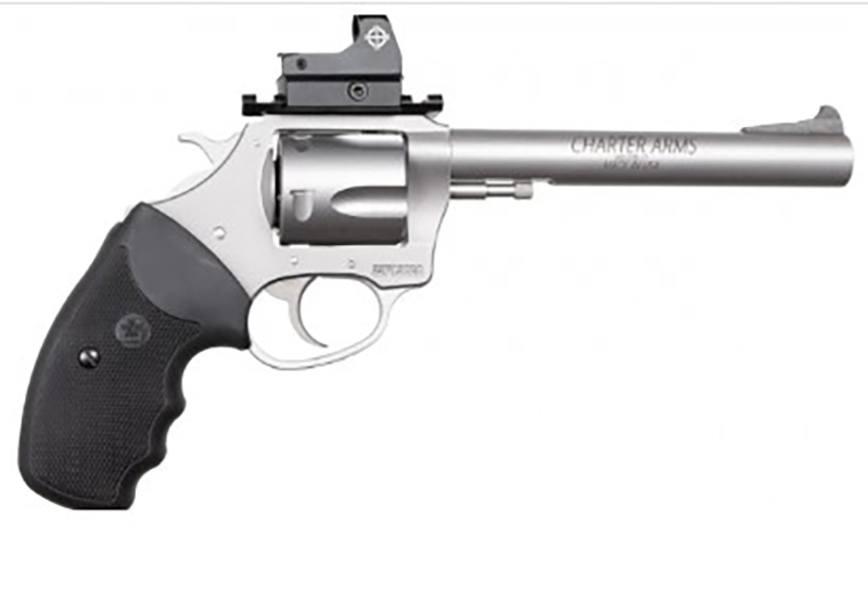 Char Target Mastiff 44SP 6" SS 5rd