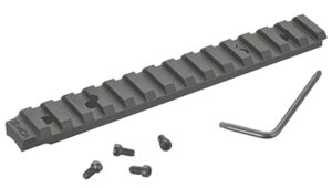 Scope Base American Rifle 20 MOA