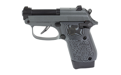 BERETTA BOBCAT 20X 22LR 2.4" 8RD GRY