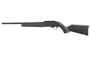 RUGER 10/22 22LR 18.5" 10RD SR BLK