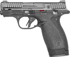 S&W 13926 Bodyguard 2.0 Micro Frame 380 ACP 12+1 2.75" TS